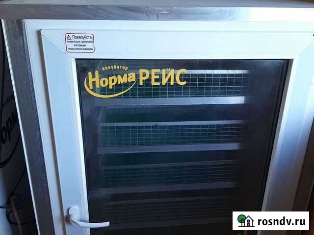 Инкубатор Челябинск - изображение 1