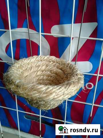 Гнездо для разведения канареек Санкт-Петербург - изображение 1