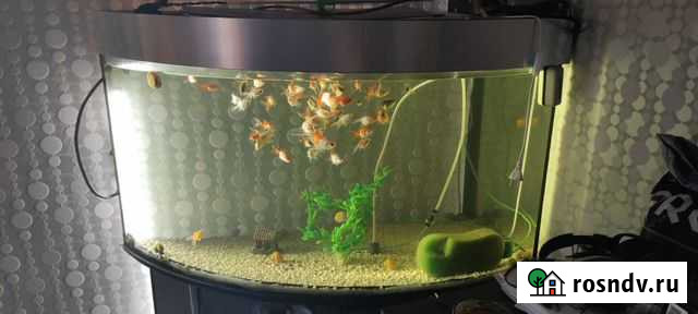 Аквариум с тумбой Бугры - изображение 1