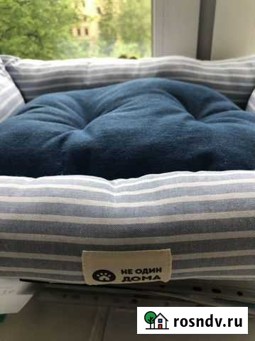 Лежанка для животных (собака, кошка) Санкт-Петербург - изображение 1