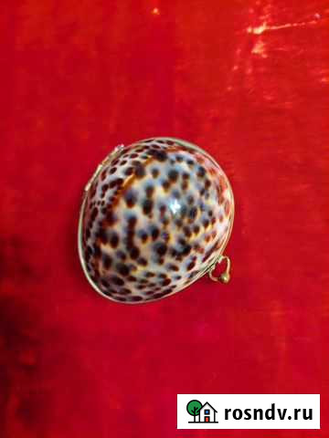 Шкатулка из Тигровой ракушки с латунью Новоуральск - изображение 1