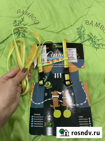 Шлейка для собаки Краснодар - изображение 1