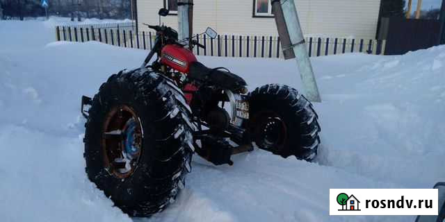 Снегоход Ишим - изображение 1