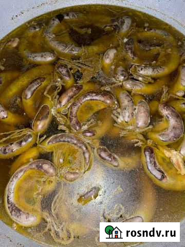 Казы Краснодар - изображение 1