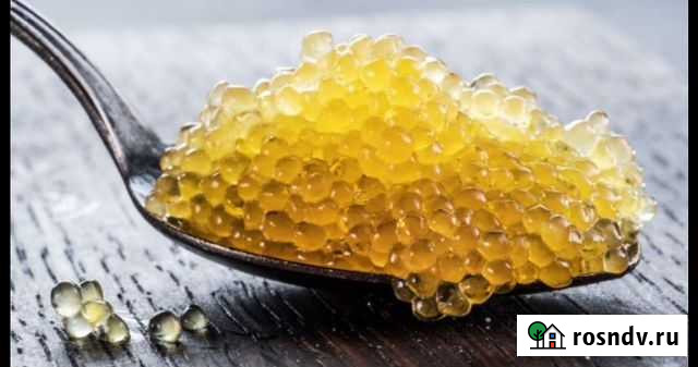 Икра щуки Новороссийск - изображение 1