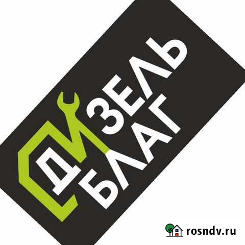 Ремонт топливной аппаратуры Благовещенск - изображение 1