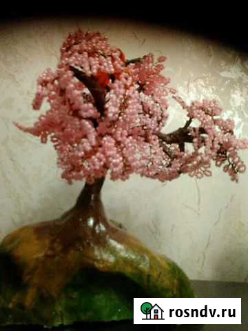 Сакура Набережные Челны - изображение 1