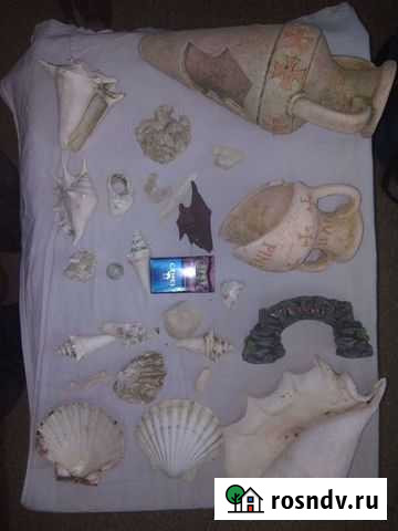 Декорации для Аквариума Мытищи - изображение 1