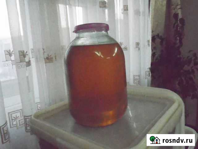 Мёд Новокузнецк - изображение 1