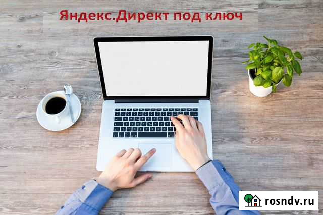 Директолог. Настройка рекламы в Яндекс Директ Челябинск - изображение 1