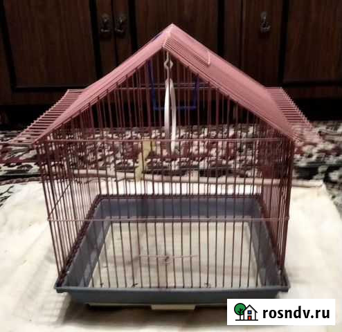 Клетка для попугая Великий Новгород - изображение 1