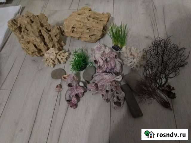 Для аквариума Озёры - изображение 1