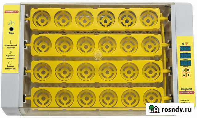 Инкубатор автоматический на 24 яйца Екатеринбург - изображение 1