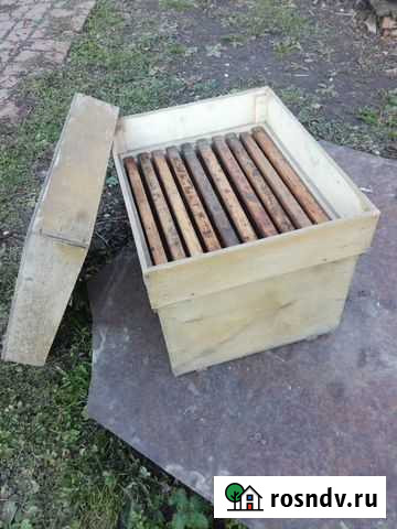 Для пчеловодства Иркутск - изображение 1