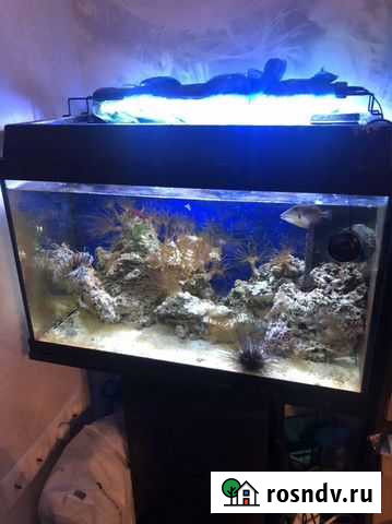 Аквариум 72 л Москва - изображение 1