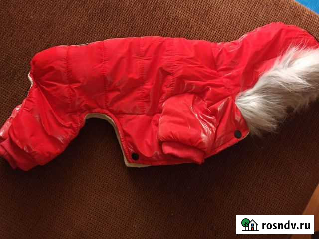 Утеплённый комбез для собак Хабаровск - изображение 1