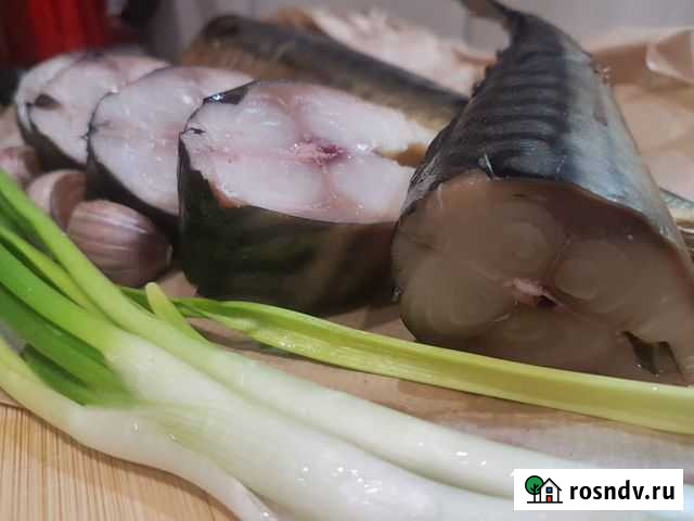 Скумбрия холодного копчения Чебоксары - изображение 1