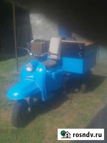 Муравей Алагир - изображение 1