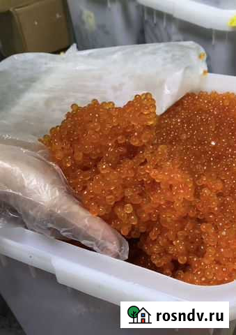 Красная икра горбуша кета нерка кижуч Москва - изображение 1