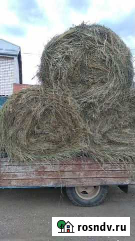 Сено в рулонах Отрадная - изображение 1