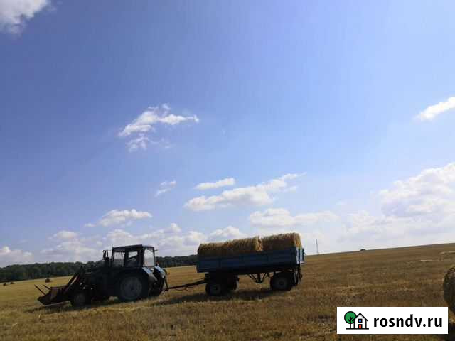 Солома Стерлитамак - изображение 1