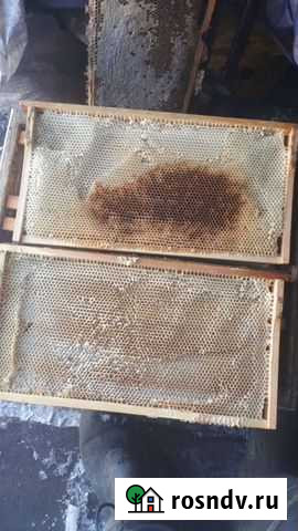 Сушь рутовская светлая Горно-Алтайск - изображение 1