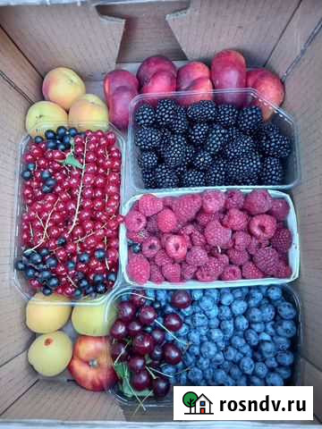 Микс мини из сезонных ягод Санкт-Петербург - изображение 1