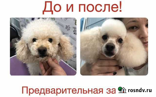 Груминг Грязи - изображение 1