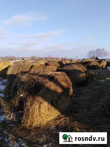 Сено Болотное - изображение 1