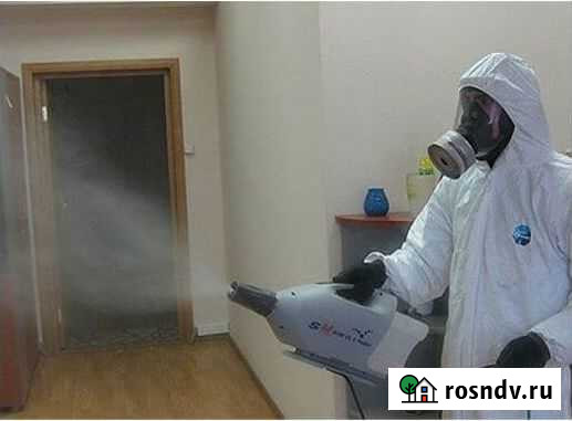 Уничтожение тараканов, клопов, клещей. Дезинфекция Таганрог - изображение 1