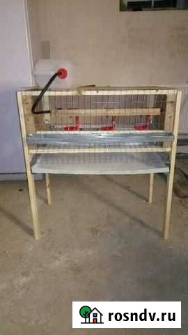 Клетка для перепелов Тула - изображение 1