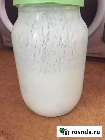 Молочный гриб Киселевск - изображение 1