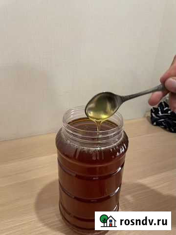 Мед Санкт-Петербург - изображение 1