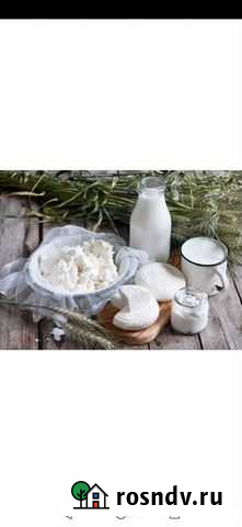 Молоко коровье домашнее Алапаевск - изображение 1