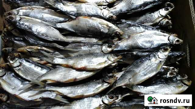 Рыба вяленая Заволжск - изображение 1