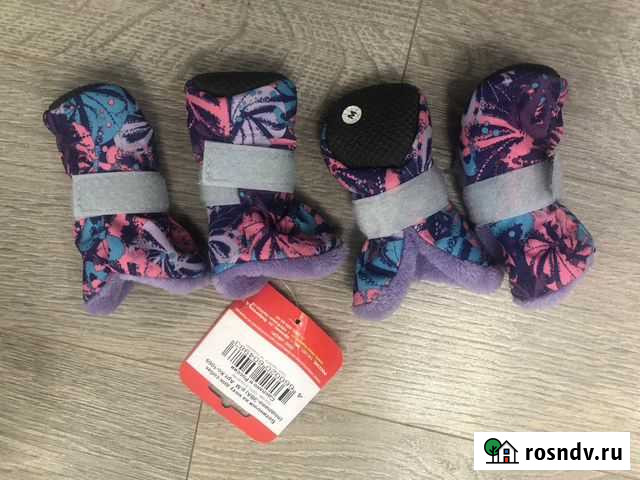 Одежда для собак Барнаул - изображение 1