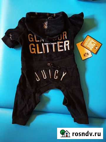 Спортивный комбинезон для собак Екатеринбург - изображение 1