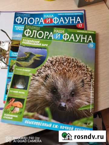 Коллекция журналов Наша флора и фауна Тверь - изображение 1