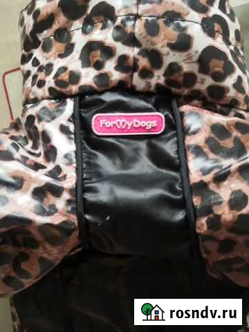 Комбинезон на осень, весну для маленькой собачки Братск - изображение 1