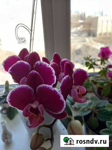 Мед. сестра на дом, Звенигород Звенигород - изображение 1