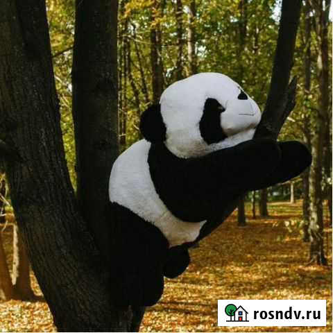 Большая мягкая Панда 110 см (лежачая) Никольское - изображение 1