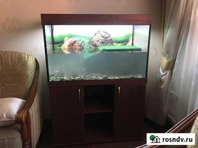 Террариум 300л для водной черепахи. Гарантия 5 лет Москва - изображение 1