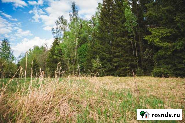 Участок ИЖС 15 сот. на продажу в Свене Свень - изображение 1