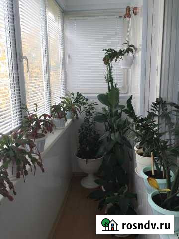 3-комнатная квартира, 65 м², 2/5 эт. на продажу в Назарово Назарово - изображение 1