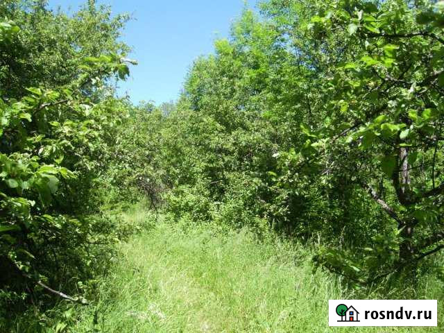 Участок СНТ, ДНП 100 сот. на продажу в Анзорее Анзорей - изображение 1