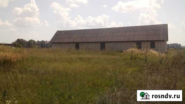 Участок ИЖС 25 сот. на продажу в Судже Суджа - изображение 1