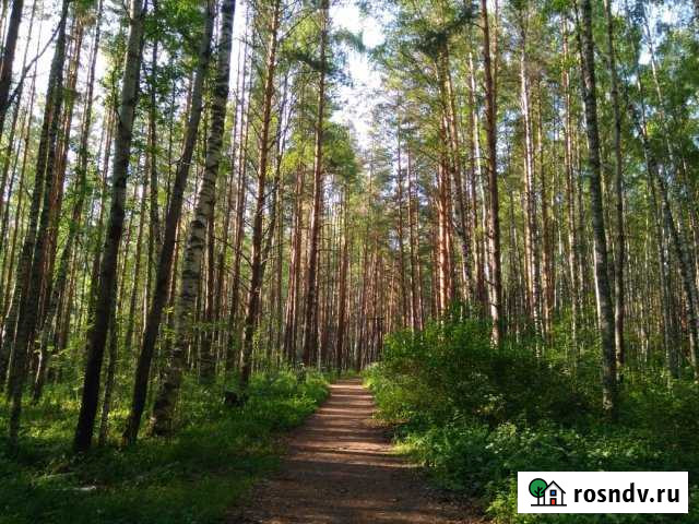 Участок ИЖС 8000 сот. на продажу в Краснозаводске Краснозаводск - изображение 1