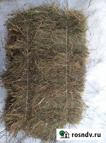 Сено с бесплатной доставкой Белово - изображение 1