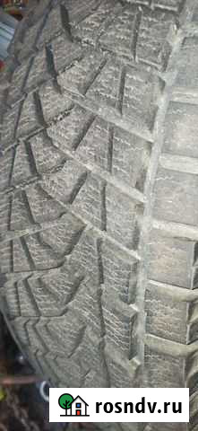 Шина Тарко-Сале - изображение 1