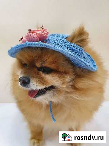 Шляпка для собак Самара - изображение 1